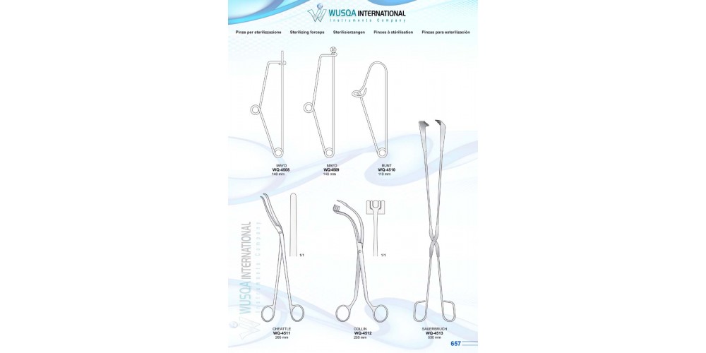 Sterilizing Forceps